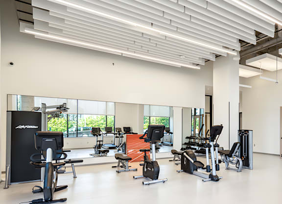 Luma gym