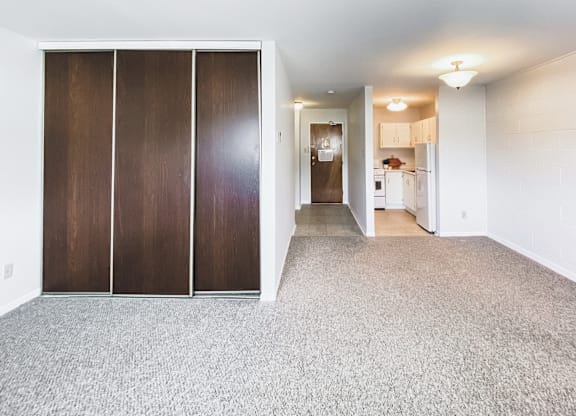 A room with a carpeted floor and a set of three brown doors.