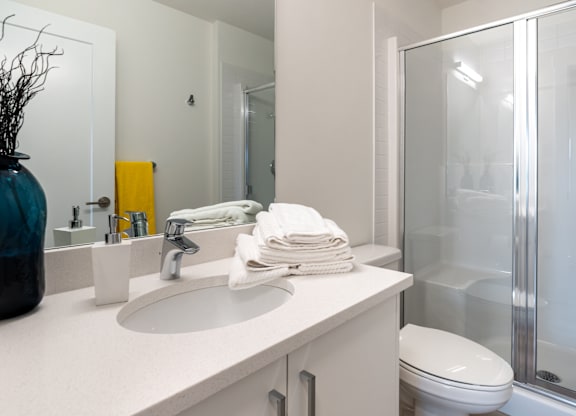 A bathroom with a white countertop and a white toilet.