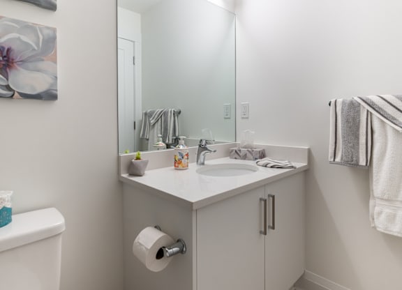 A bathroom with a white sink and a mirror above it.