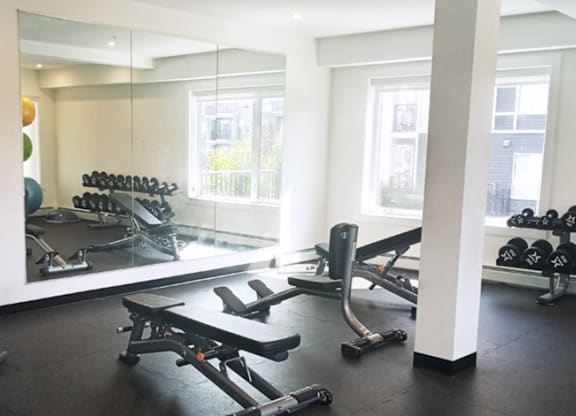 A gym with a mirror, weights, and exercise equipment.