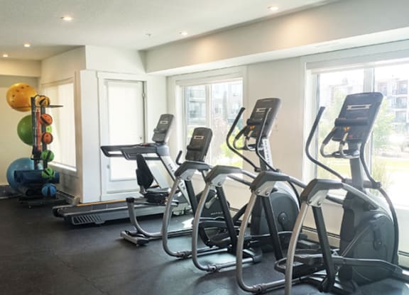 A gym with treadmills and exercise balls.