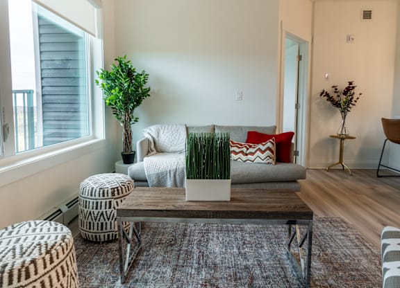 A living room with a couch, chair, and potted plant.