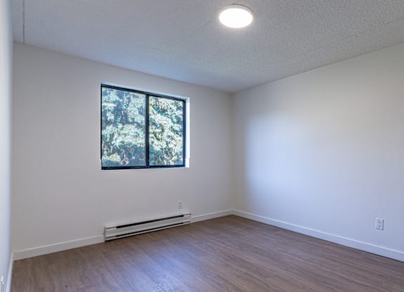 A room with a window and a radiator on the wall.
