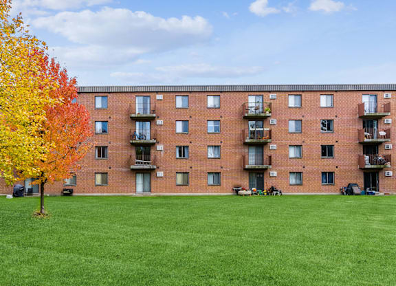 A tree with yellow leaves stands in front of a red brick apartment building.