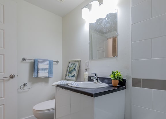 A bathroom with a toilet, sink, and mirror.