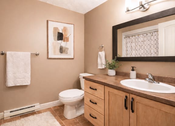 A bathroom with a toilet, sink, and a mirror.