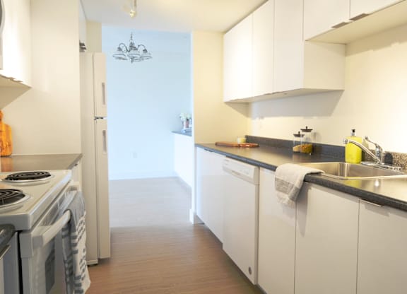 Quinpool Tower Kitchen Appliances
