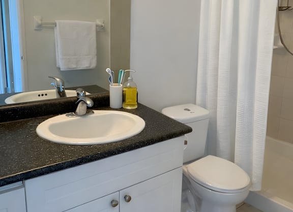A bathroom with a sink, toilet, and shower curtain.