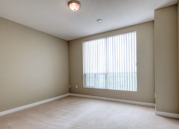 A room with a carpeted floor and a window with blinds.