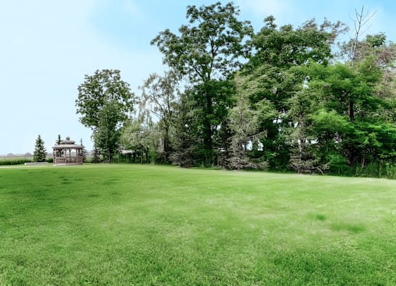 A large grassy field with trees and a wooden structure in the distance.