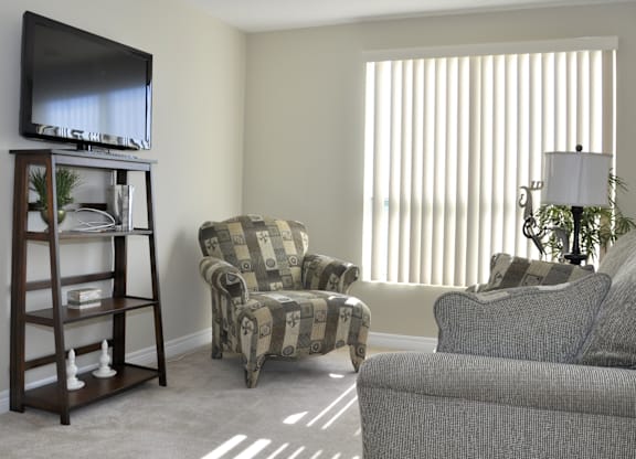 A living room with a television, two chairs, and a plant.