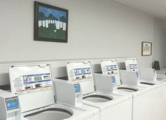 A row of washing machines are lined up in a laundromat.