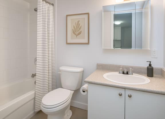 A white toilet sits next to a sink in a bathroom.