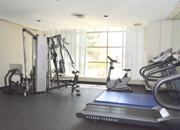A gym with a treadmill, weights, and exercise equipment.