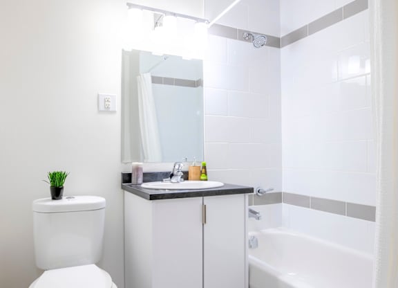 A white toilet sits next to a sink in a bathroom.