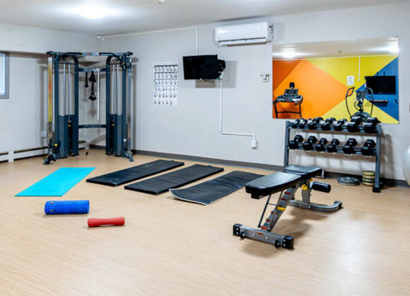 A gym with a variety of equipment including a bench press, a squat rack, and a rowing machine.