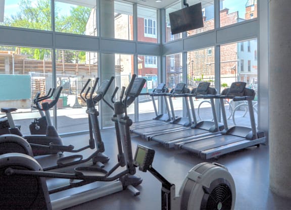 The Alexander Gym