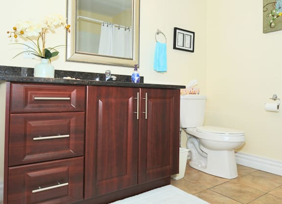 The Aspen Bathroom