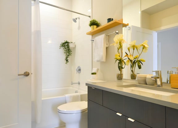 The Killick Bathroom.