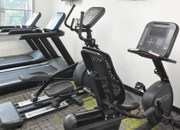 A gym with treadmills and exercise bikes.