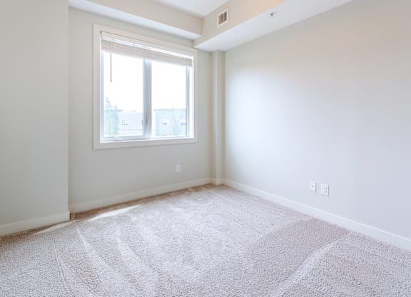A room with a carpeted floor and a window.