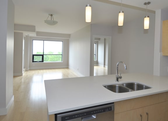 A kitchen with a sink, dishwasher, and a window.