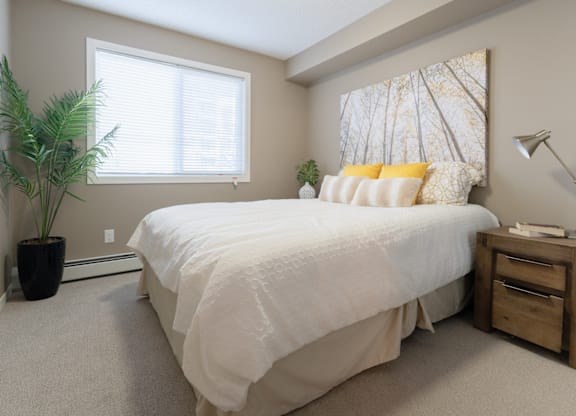 A bedroom with a large bed, a potted plant, and a lamp.