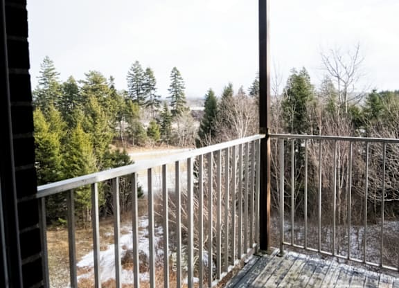 Veronica Drive Balcony