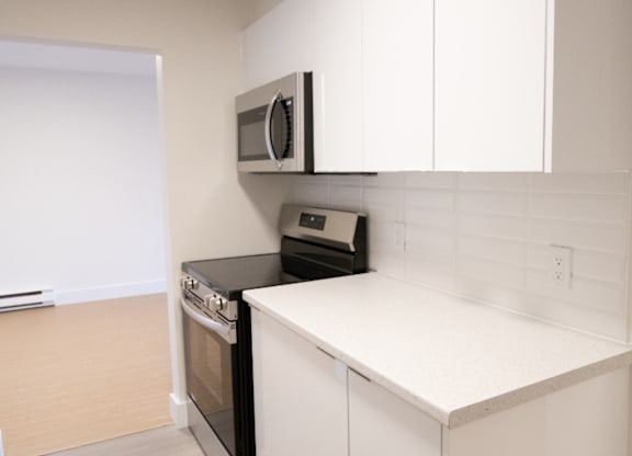Veronica Drive Stove