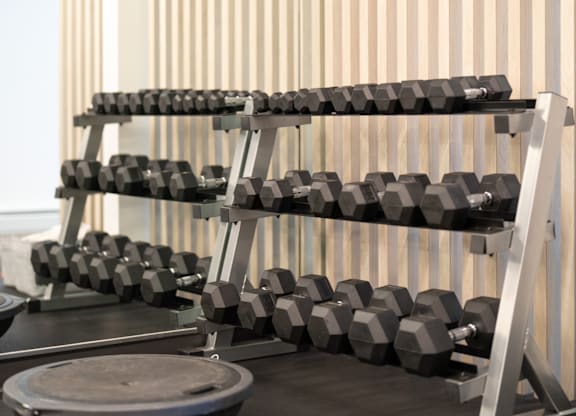 A set of dumbbells is arranged on a rack in a gym.