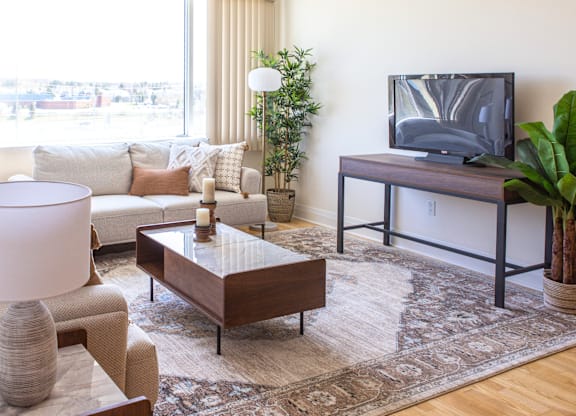 A living room with a couch, coffee table, and television.