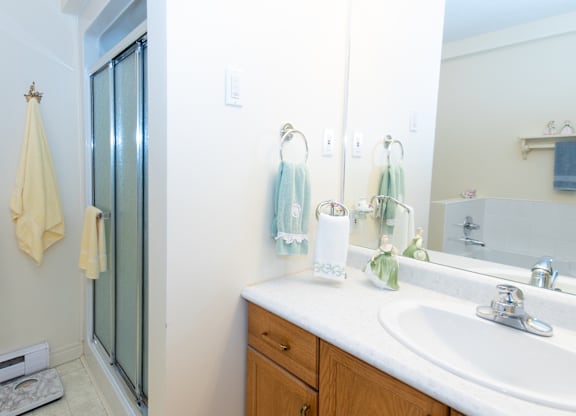 A bathroom with a white sink and a mirror.