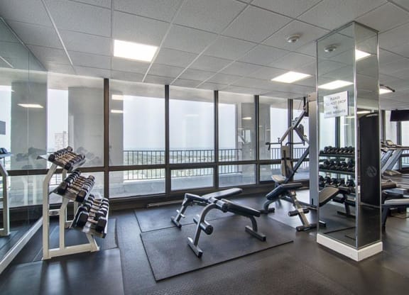 24 Hour Fitness Center Free Weights