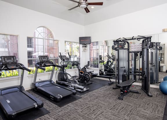High-Tech Fitness Center at Whitney at the Heights, Texas, 77008
