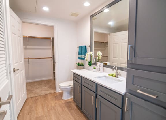Spacious Bathrooms With Accessible Closet at Whitney at the Heights, Houston, Texas
