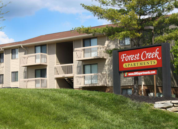 Lush Green Outdoor at Forest Creek Apartments, Middletown, 45044