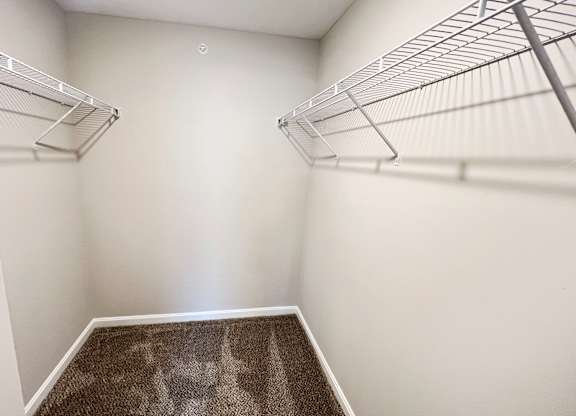 A walk-in closet with a carpeted floor and metal shelving.