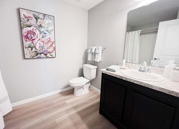 Bathroom with a Painting on a Wall at Hebron Station Apartments, Kentucky