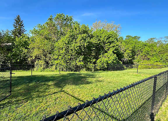 A black chain link fence separates a grassy field from a wooded area.