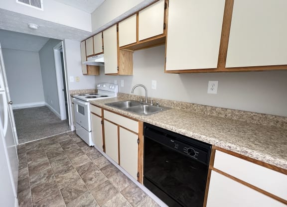 an empty kitchen with a sink and a dishwasher at 450 on Keeneland Apartments, Richmond, 40475