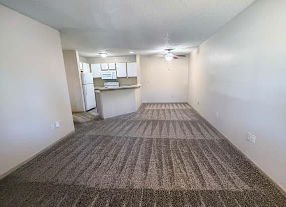 A carpeted room with a striped rug on the floor.