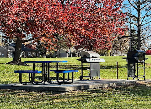 A picnic table with a blue bench is in front of a tree with red leaves.
