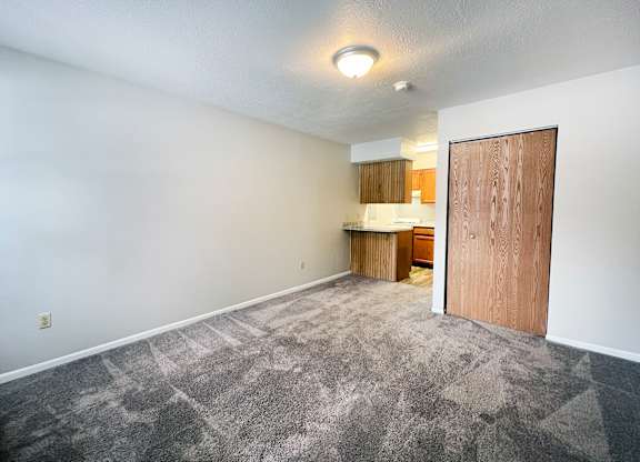 A room with a carpeted floor and a wooden door.