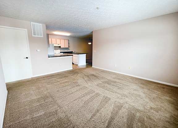 A room with a carpeted floor and a kitchen area in the background.