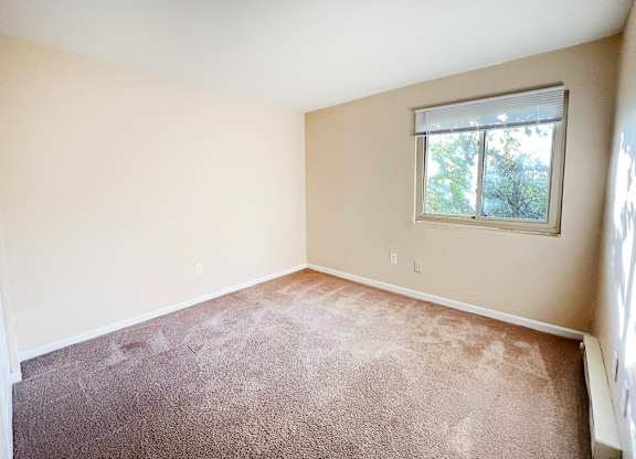 A room with a carpeted floor and a window.