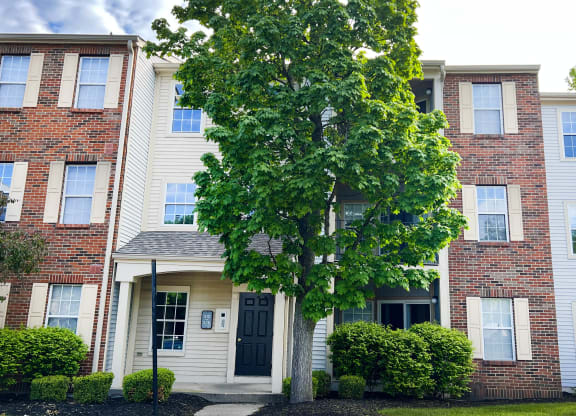 a tree in front of an apartment building at Woodhills Apartments, West Carrollton