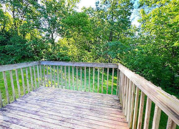 A wooden deck overlooks a lush green forest.