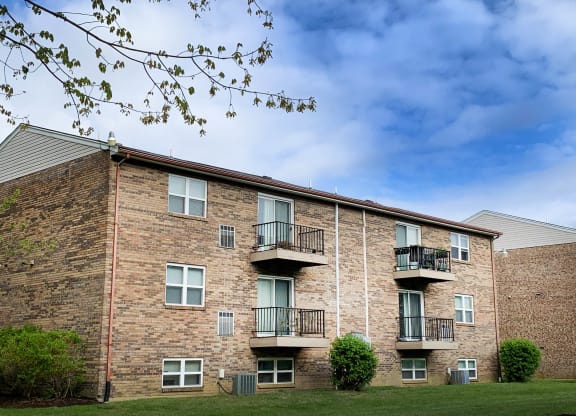 Backside View at Crown Crossing Apartments, Amelia