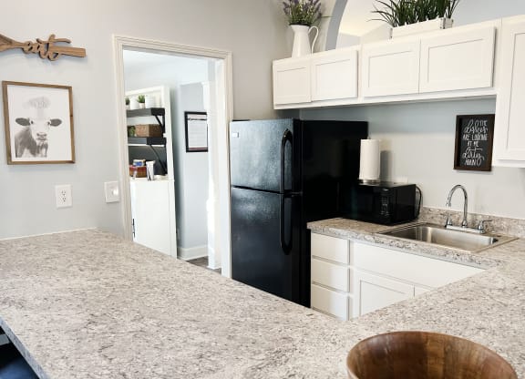 Clubhouse Kitchen at Woodhills Apartments, West Carrollton, OH